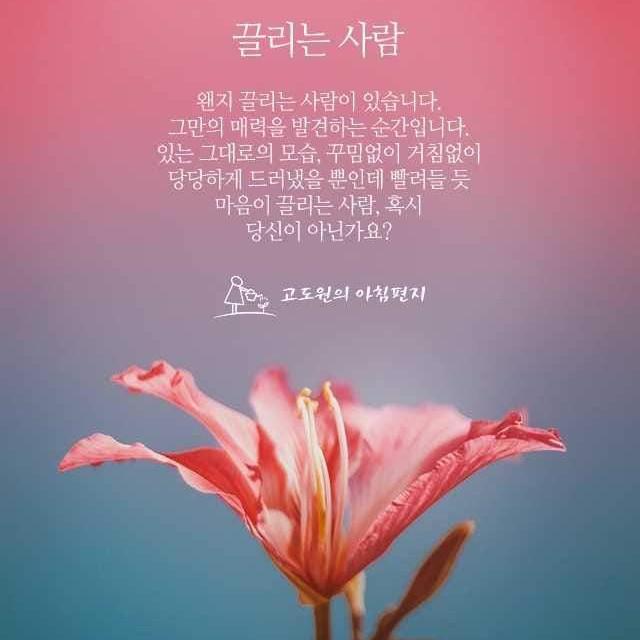 리뷰어 프로필
