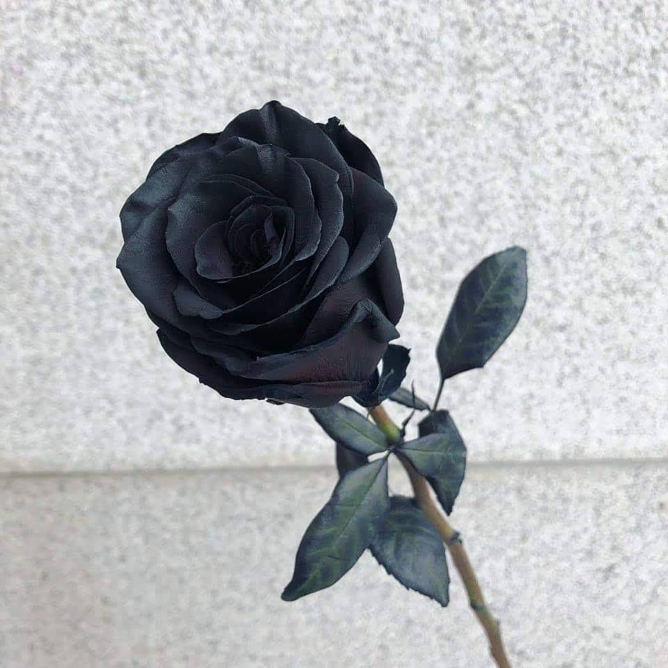 리뷰어 프로필