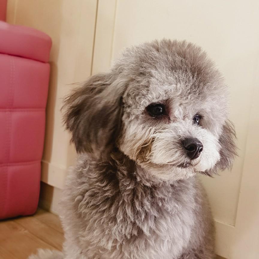 눈뉴난냥 프로필