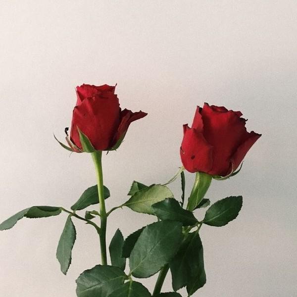 hwee0 프로필