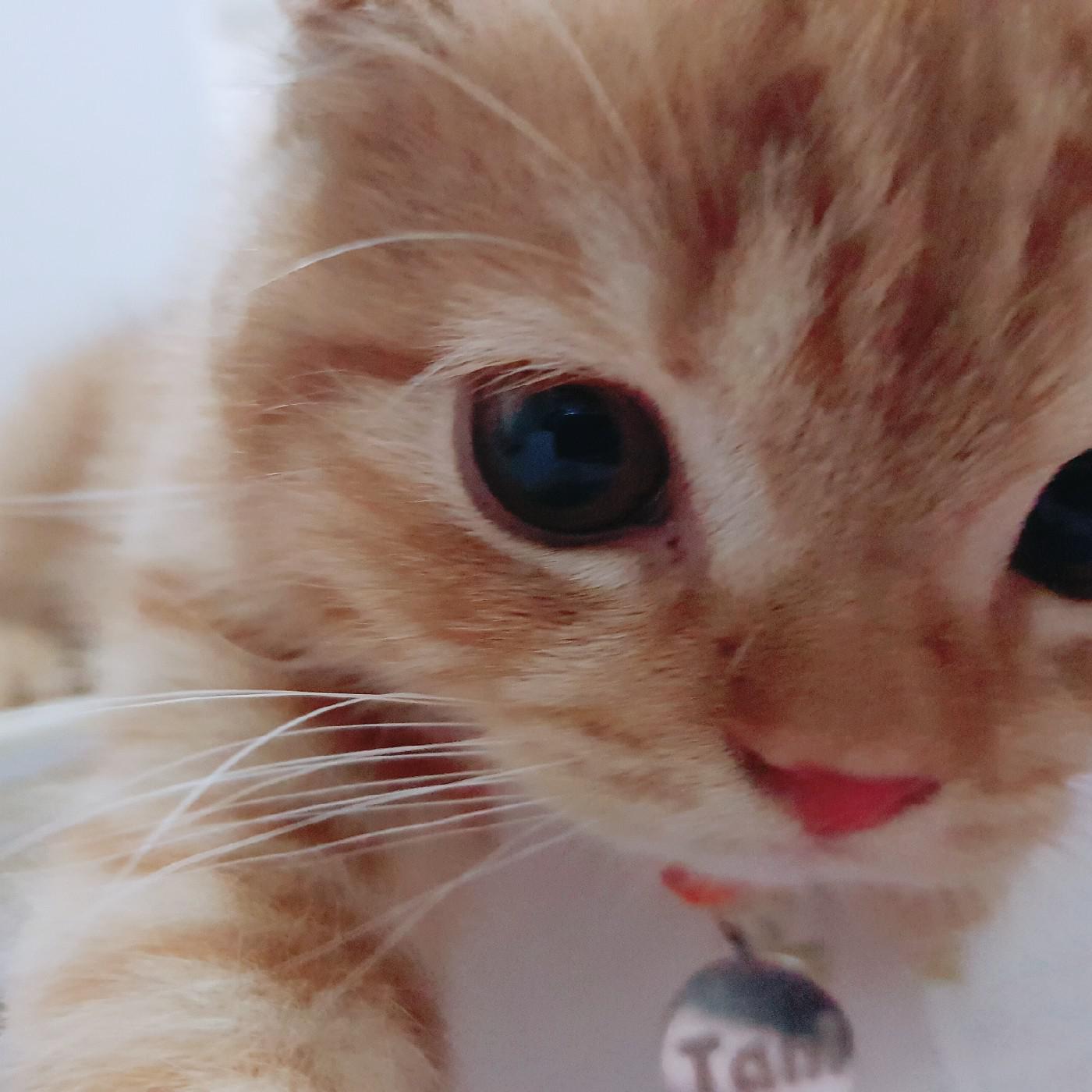 민지12345 프로필