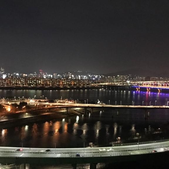 웰시선정 프로필