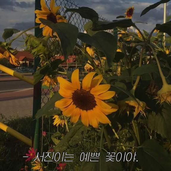 우서진 프로필