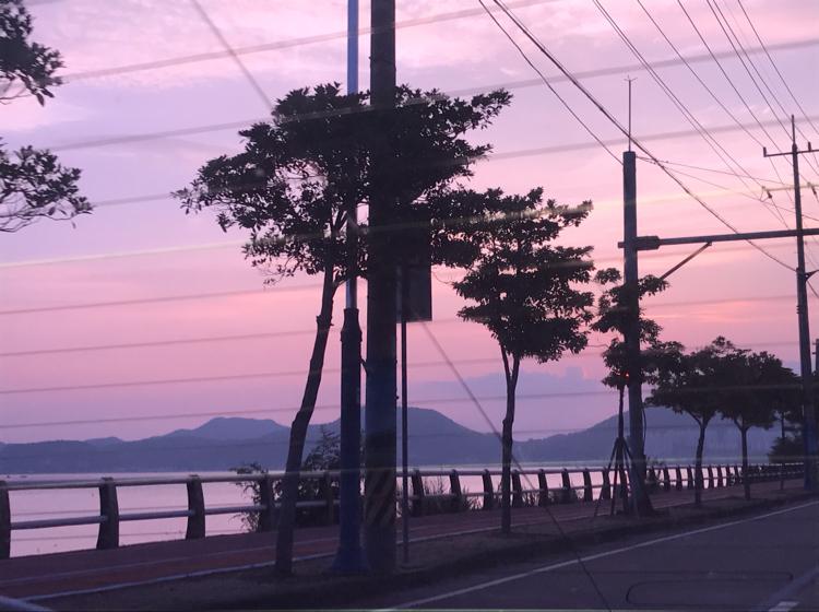 미드나잇쥬 프로필