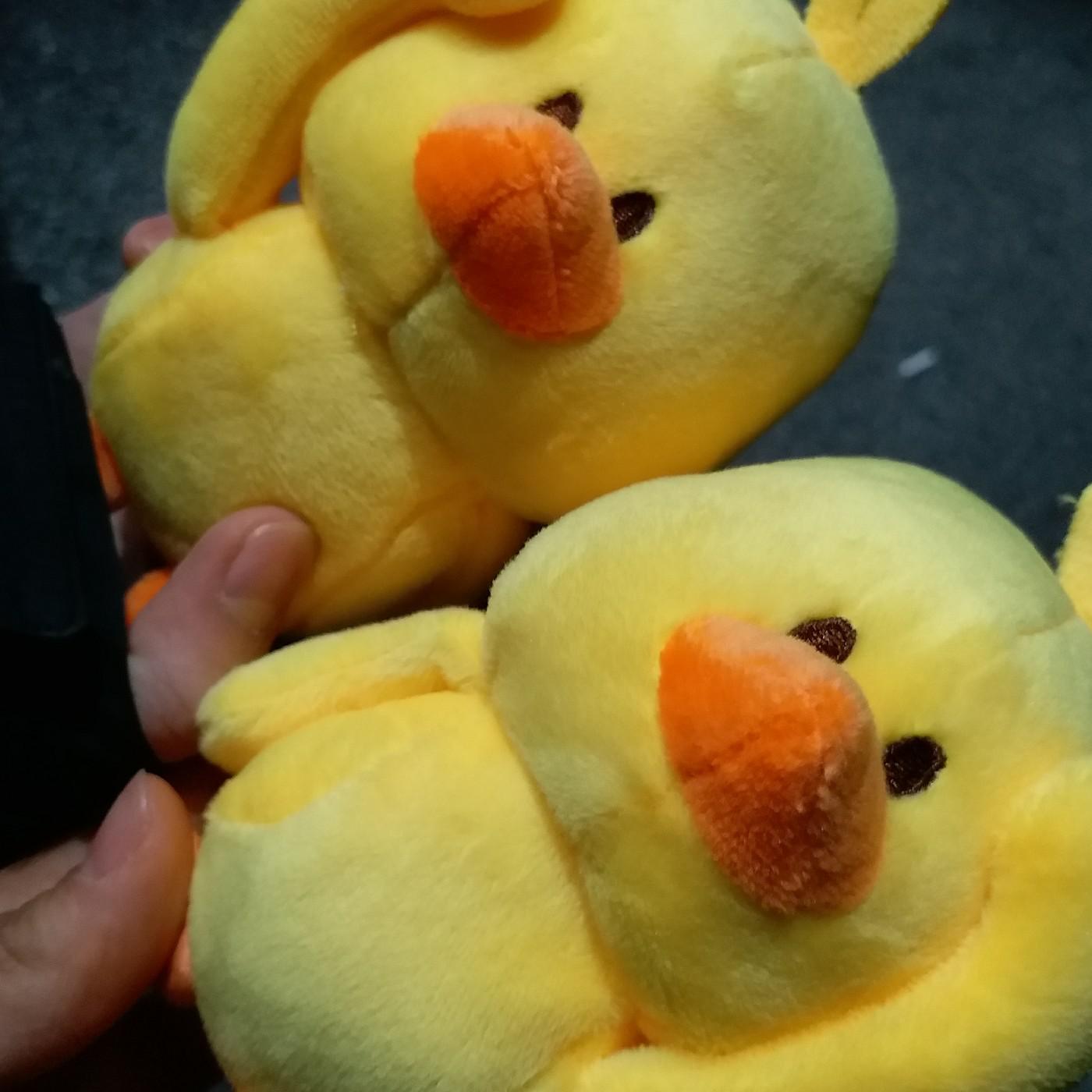 몰랑규 프로필