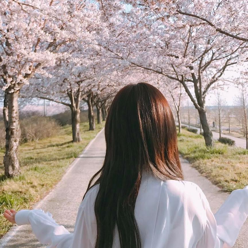 wjsekdus 프로필