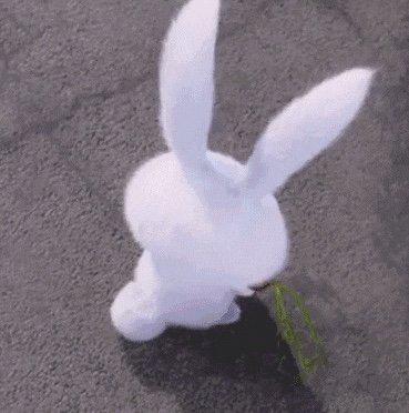 댕댕임니다 프로필