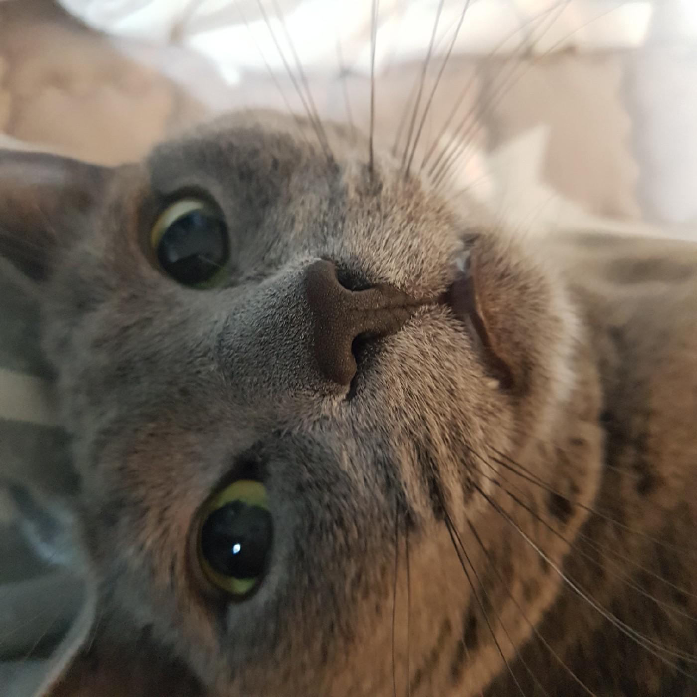 lulu룰루 프로필