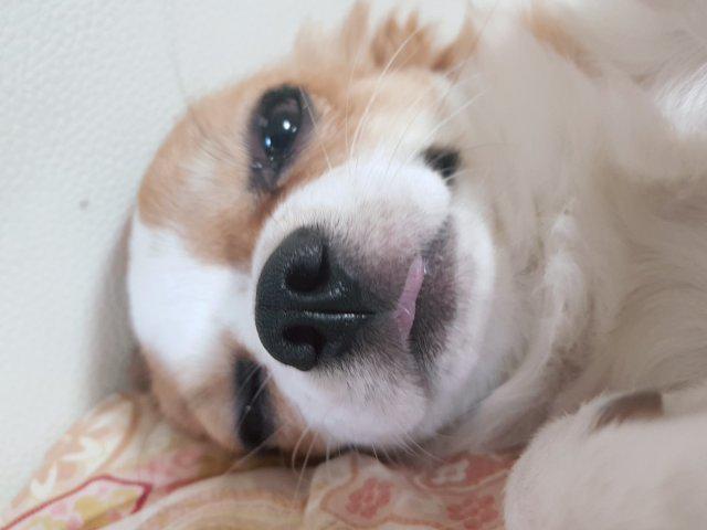 지킴쌤 프로필