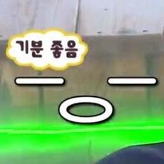 감댜댜 프로필