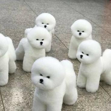 민트자스민 프로필