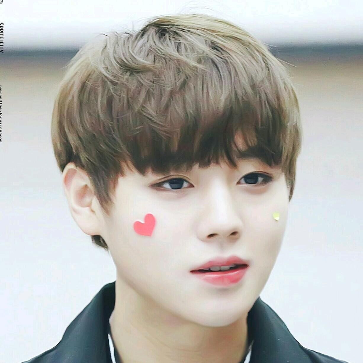 별지훈 프로필
