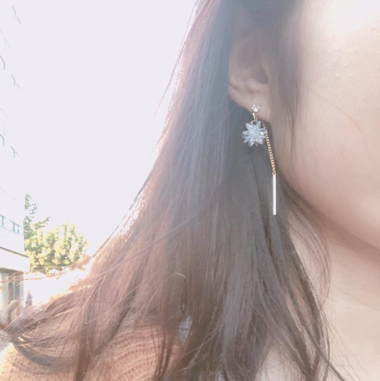 뀰나무 프로필