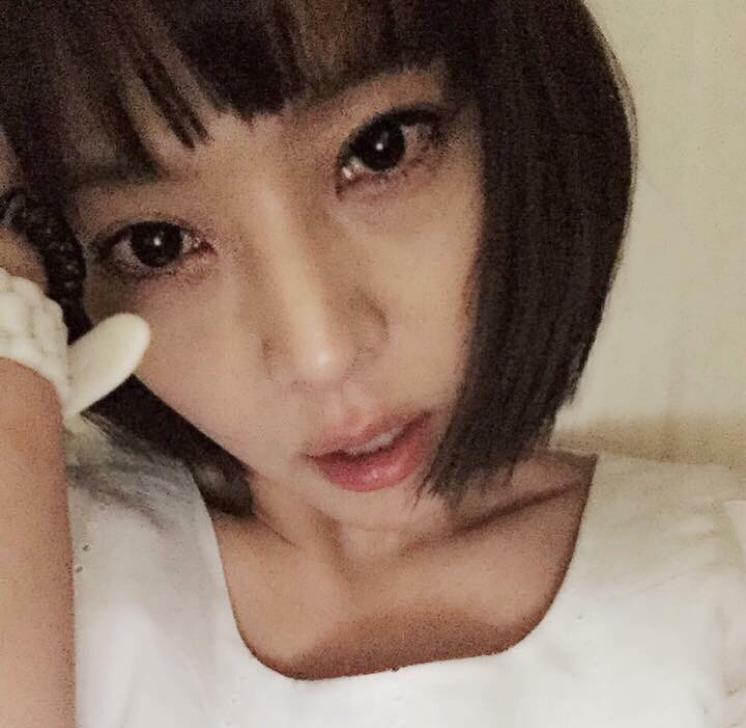 gdxove 프로필