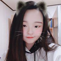 노아인 프로필