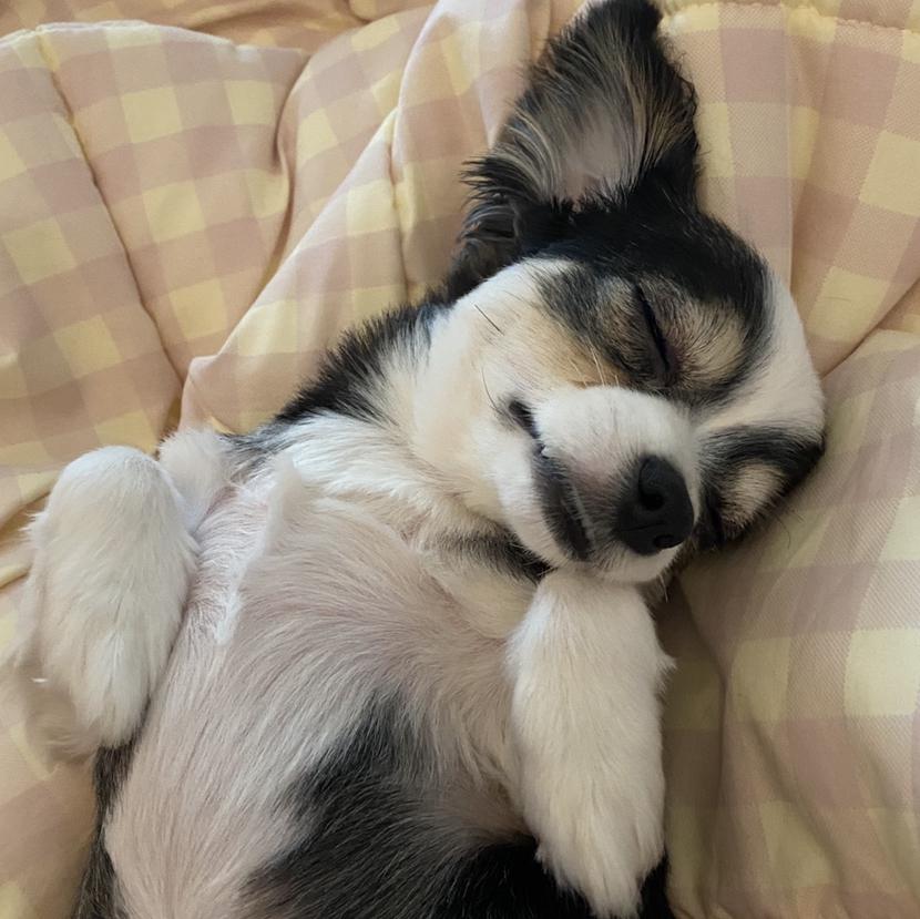 lazysunday 프로필