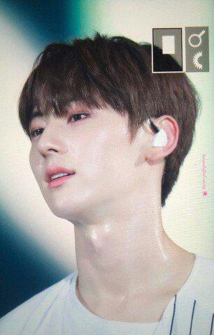 꼼데여우 프로필