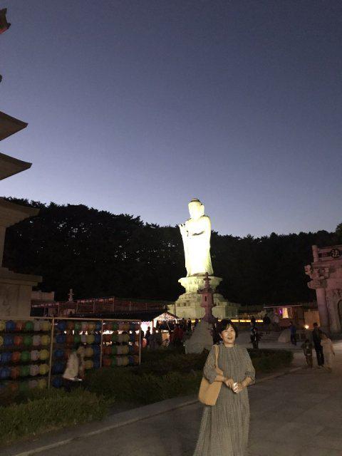 타운 프로필