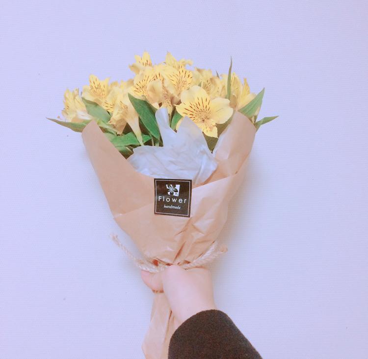 sfead 프로필
