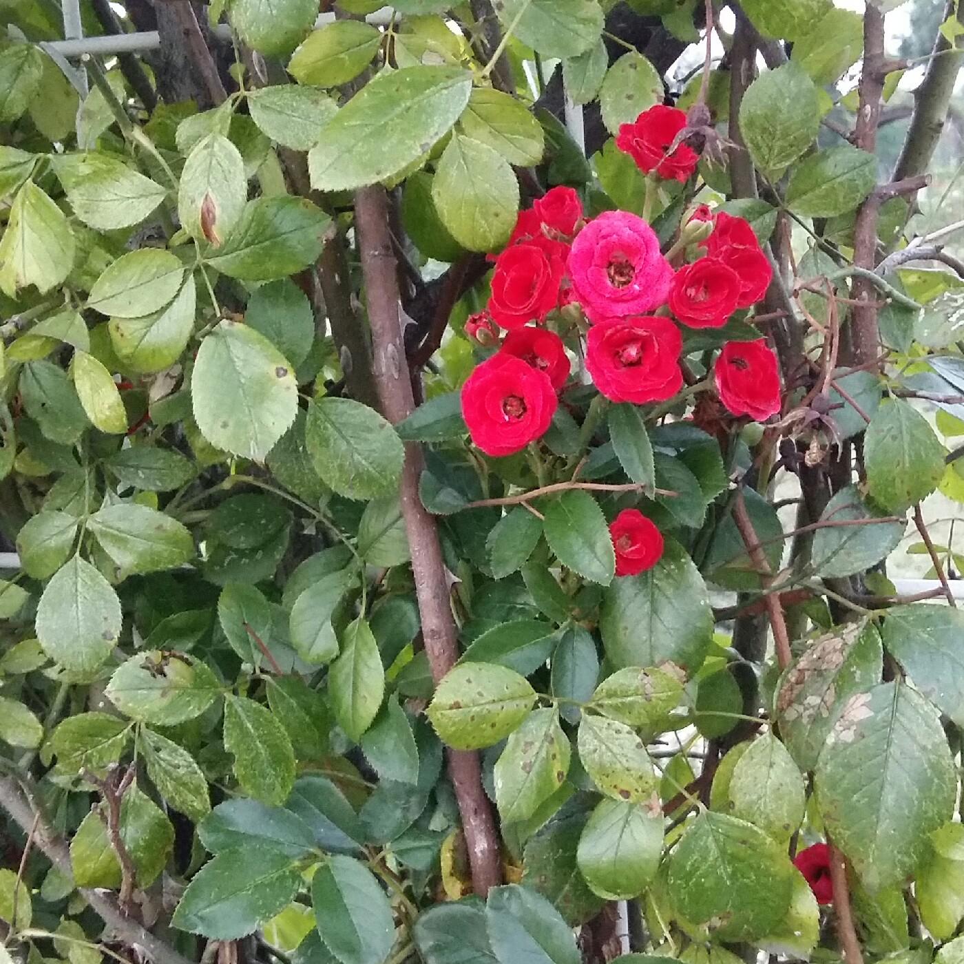 dudal8814 프로필