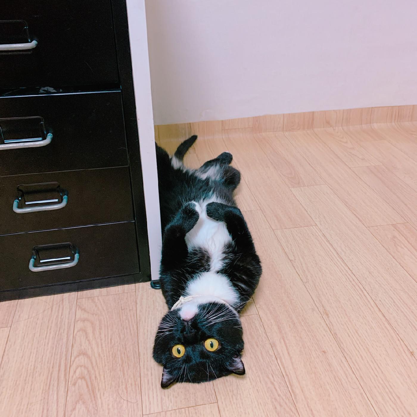 김수지0 프로필