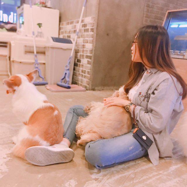 두부생강 프로필
