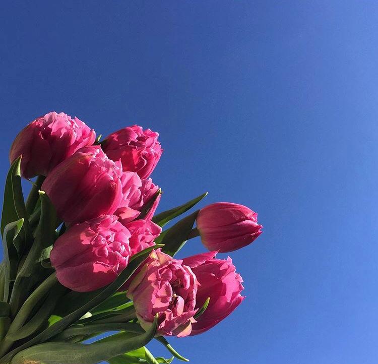 라라사라 프로필
