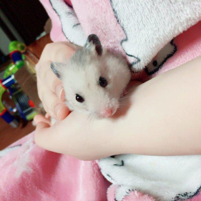 리뷰어 프로필