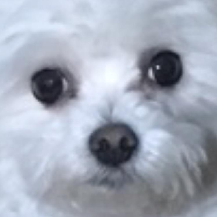 2zzziny 프로필