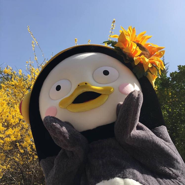 조쭈원 프로필