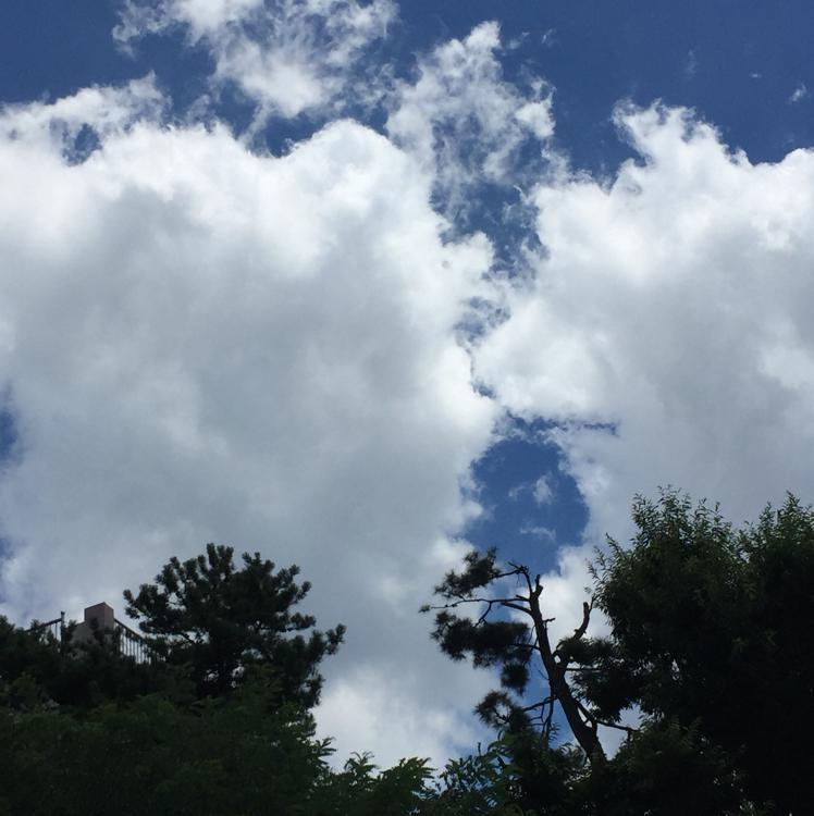 oreum오름 프로필