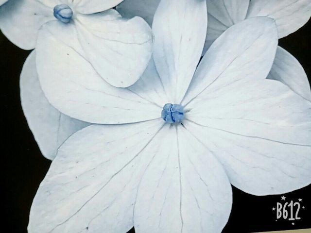 poqwe 프로필