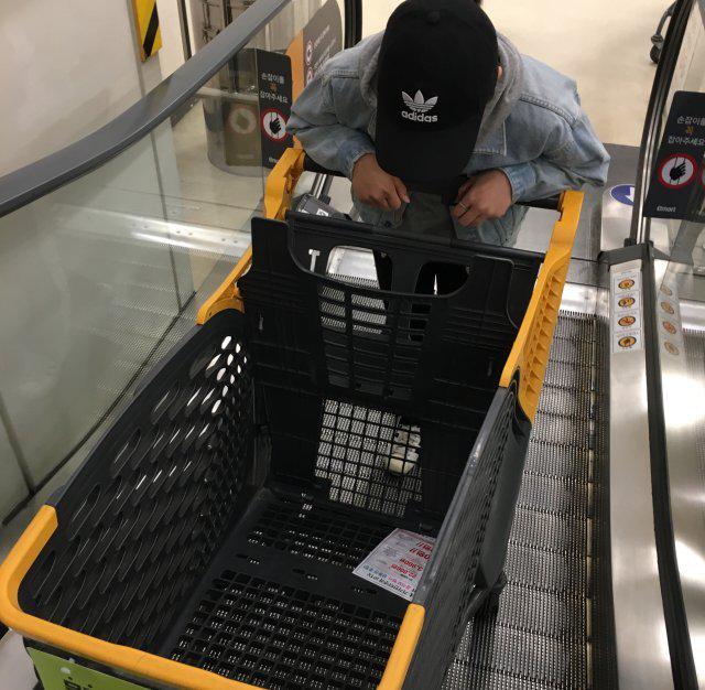 쁠곤듀 프로필