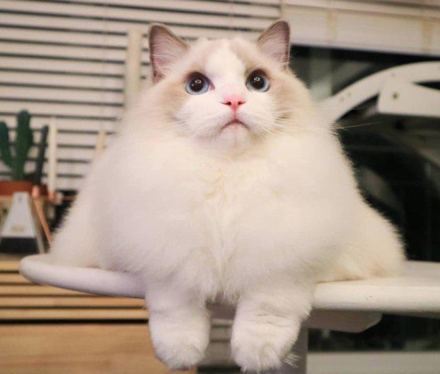 leahh 프로필