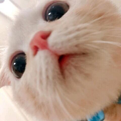 가지덮밥 프로필