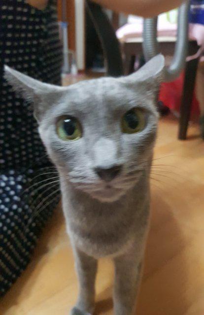 꾸에에에 프로필