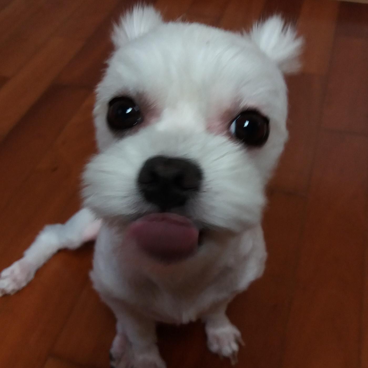 coting 프로필