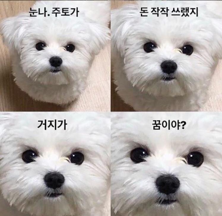 리뷰어 프로필