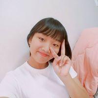 참새로하 프로필