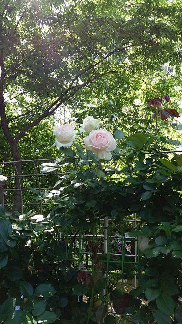 bella0826 프로필