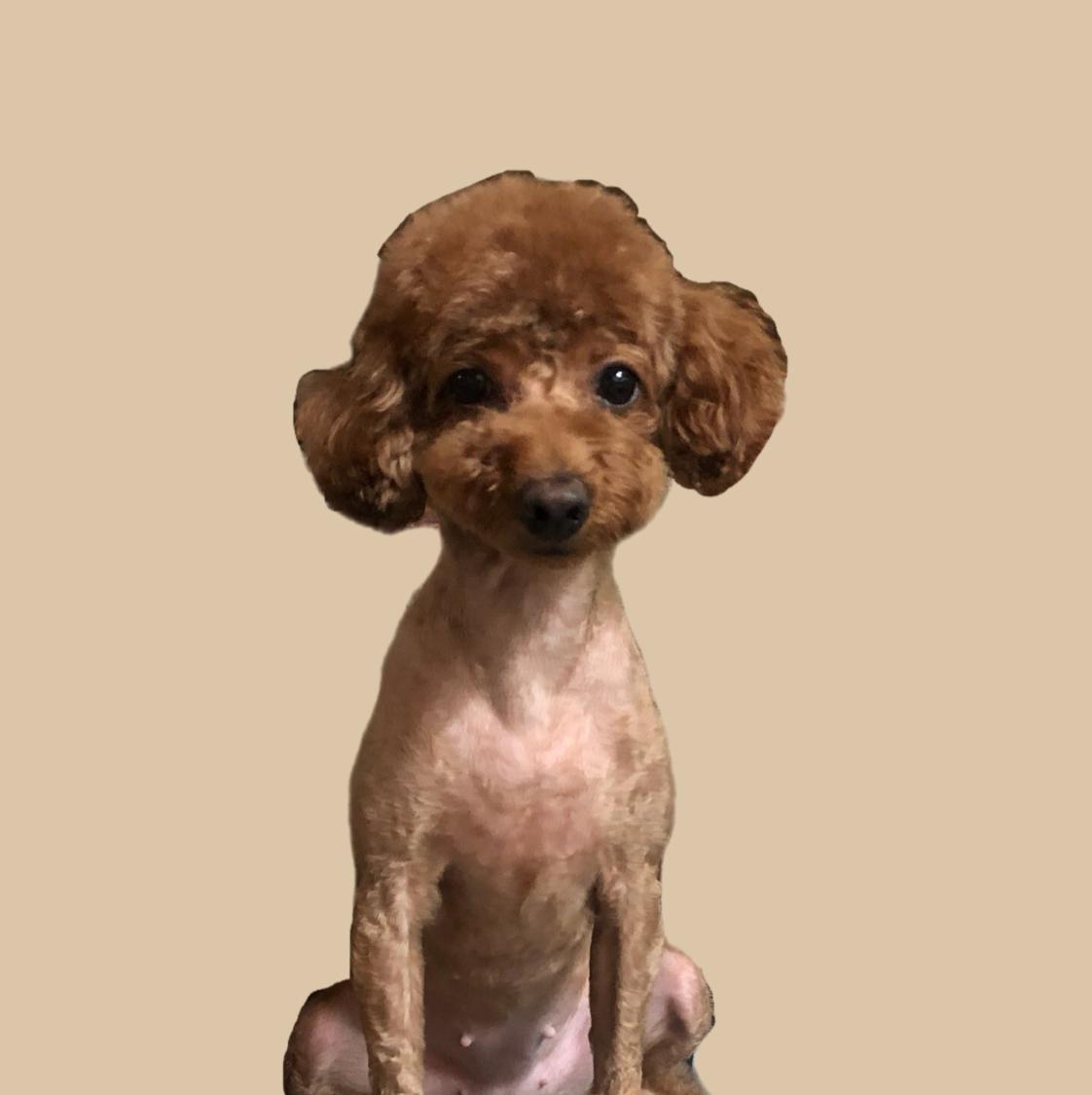 리뷰어 프로필