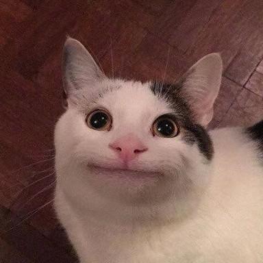 꾸꾸니꾸 프로필