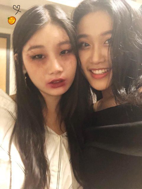 칼큘러스개객기 프로필