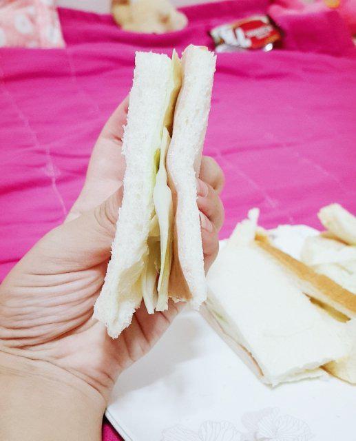 미사키지젤 프로필