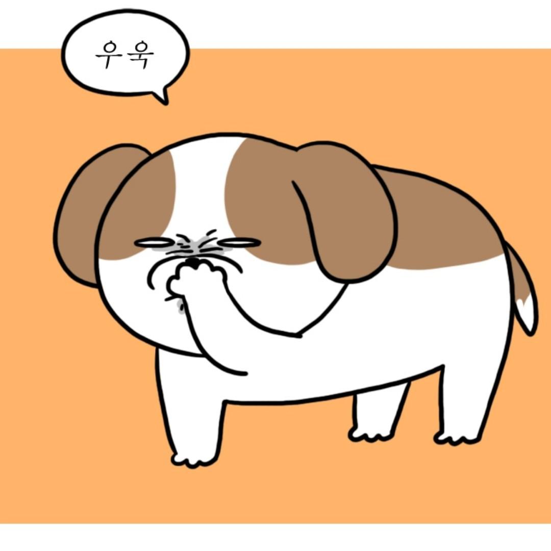이련이 프로필
