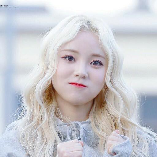 벨팡인 프로필