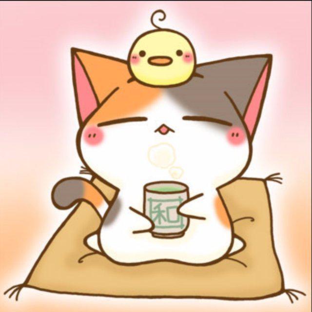 다주꼬봉 프로필