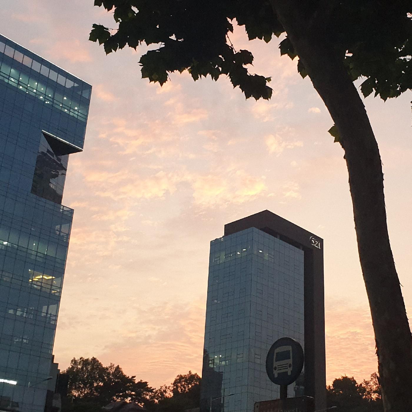 미미랑 프로필