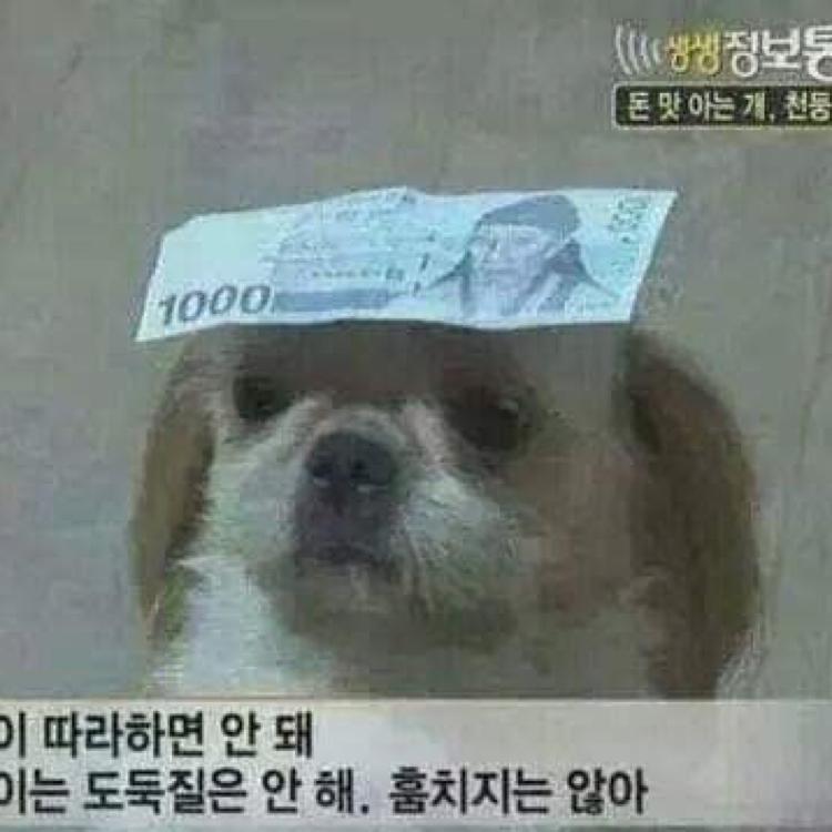 한나한 프로필
