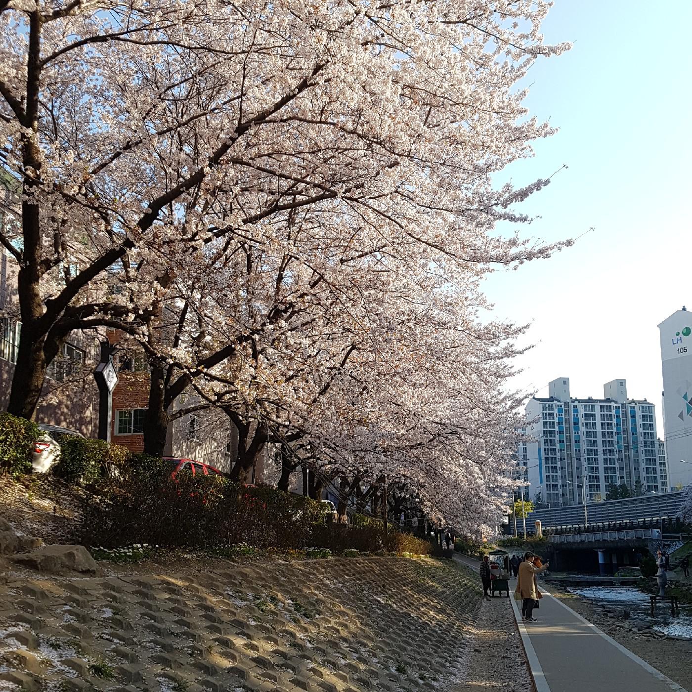 하호핫 프로필